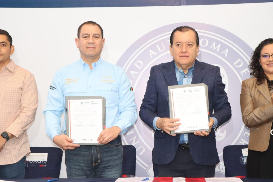 Boletin Informativo de la Cámara Minera de México