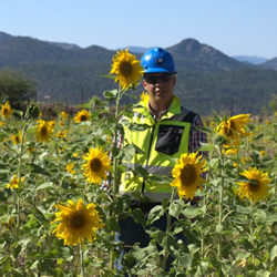 Boletin Informativo de la Cámara Minera de México