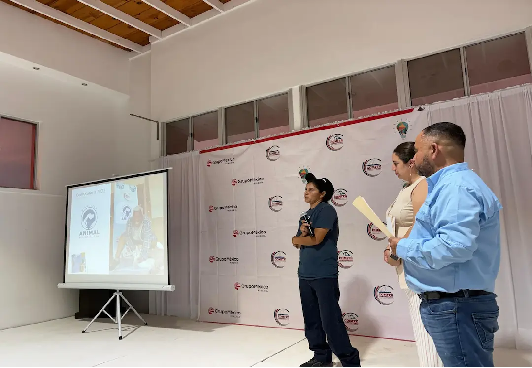Boletin Informativo de la Cámara Minera de México