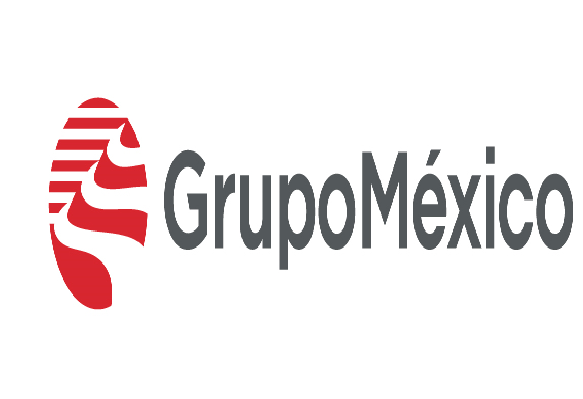 Boletin Informativo de la Cámara Minera de México