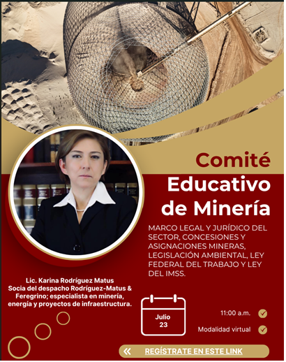 Boletin Informativo de la Cámara Minera de México