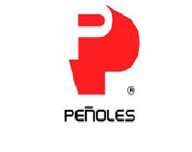 Boletin Informativo de la Cámara Minera de México