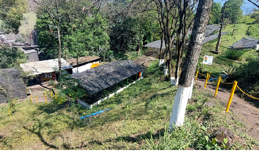 Boletin Informativo de la Cámara Minera de México