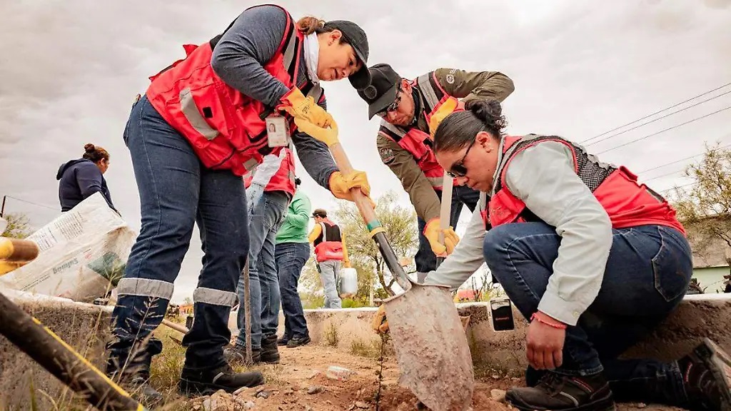 Boletin Informativo de la Cámara Minera de México