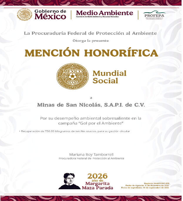 Boletin Informativo de la Cámara Minera de México